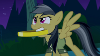 Daring Do with ring in her mouth S4E04