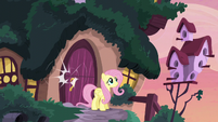 Door closes on Fluttershy S5E3