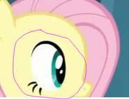 Fluttershy bez górnych rzęs