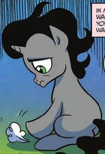 Sombra als Fohlen mit dem keiner was zu tun haben will.