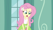 Fluttershy "are you sure we need" EG3