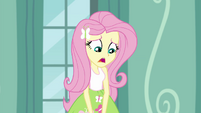 Fluttershy "are you sure we need" EG3