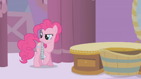 Pinkie Pie picks up a recorder S1E10