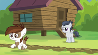 Pipsqueak crosses the camp-dividing line S7E21