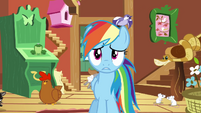 Rainbow Dash "these animals don't listen" S03E13