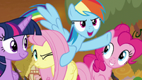 Rainbow Dash -go get 'em, beardy!- S9E2