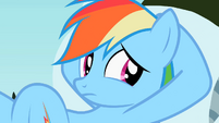 Rainbow Dash looking S2E07