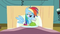 Rainbow muzzle stuck in glass S2E16