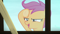 Scootaloo "it looks like" S8E12