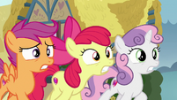 The Crusaders fail to convince Fluttershy S9E22