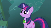 Twilight well Trixie S3E5