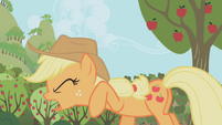 Applejack Why of all the S1E04