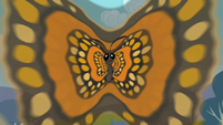 Butterfly hypnotizing S2E07