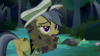 Daring Do in leafy disguise S4E04