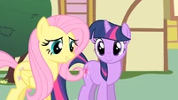 Twilight in a cute shot.