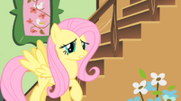 Fluttershy about to leave her cottage S1E22