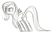 Fluttershy szkic