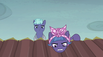 McColt mare accuses Twilight and Fluttershy of being spies S5E23