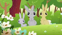 Rabbits S1E23