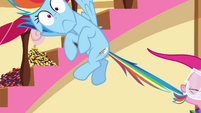Rainbow getting pulled by Pinkie S4E18