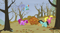Rainbow sees ponies moving the leaves S5E5