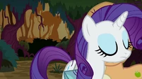 You tell her, Rarity!