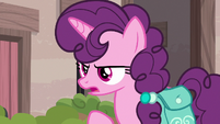 Sugar Belle recognizing Scootaloo S7E8