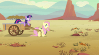 Twilight and Fluttershy surprised at Rainbow's quick departure. Never let her loose or you'll regret it.