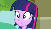 Twilight Sparkle chocada EG