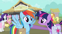 You know the plan, right Rainbow Dash?