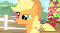 Applejack "This afternoon?" S1E25