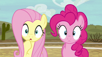 Fluttershy and Pinkie Pie in dull surprise S6E18