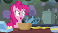 Pinkie Pie --instruction following starting...-- S6E21