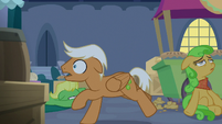 Ponies in a state of complete panic S9E17