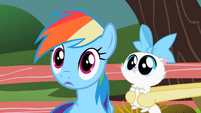 Rainbow Dash give thought S2E7