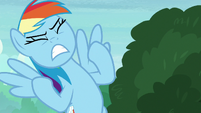 Rainbow Dash groans with intense anger S8E17