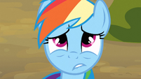 Rainbow Dash having regrets S3E09