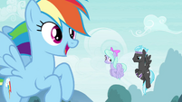 Rainbow Dash sees the Breezies coming S4E16