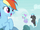 Rainbow Dash sees the Breezies coming S4E16.png