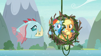 Rainbow and AJ notice bite-acuda Ocellus S8E9