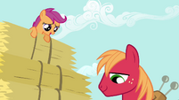 Scootaloo Big Mac S2E17