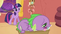 Uh, there seems to be something wrong with Spike.