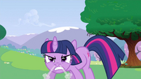 Somepony is angry.