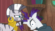 Zecora looking at Rarity's scalp S7E19