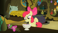 Apple Bloom Agree S2E6