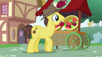 Appleloosa pony putting apples on sale S9E12