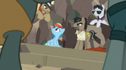 Caballeron and henchponies surround Rainbow Dash S7E18