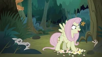 Fake Fluttershy stomps on a flowerbed S8E13