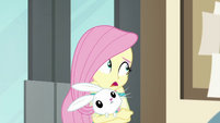 Fluttershy "do you think the coast is clear?" EGDS26