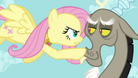 Fluttershy and Discord "watch your step, buster" S03E10